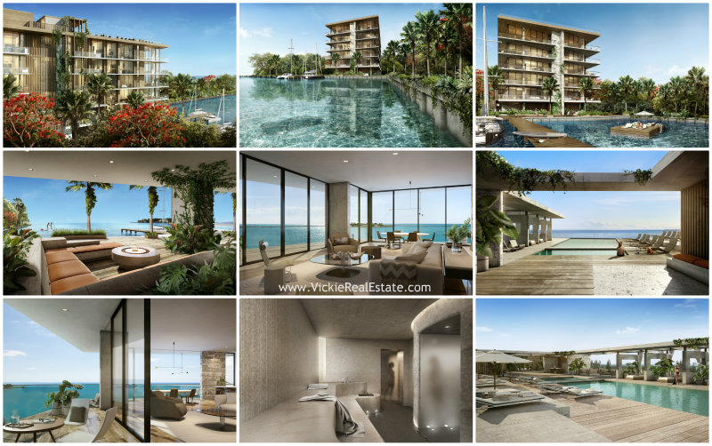 The Fairchild Coconut Grove Condo